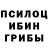 Галлюциногенные грибы Cubensis Mariusz Foltak