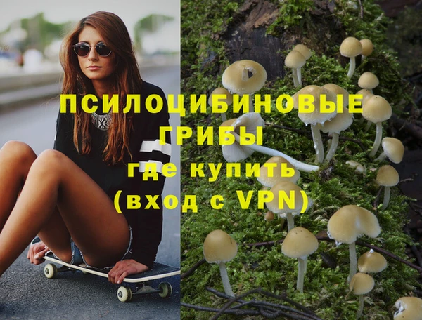 крисы Новозыбков