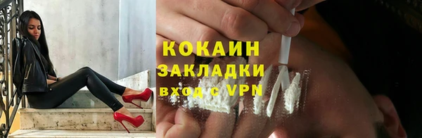 крисы Новозыбков