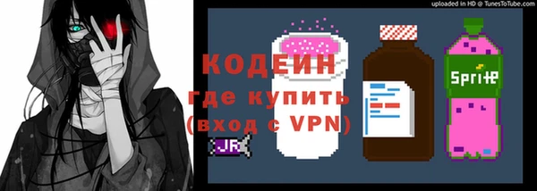 крисы Новозыбков