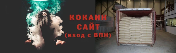 крисы Новозыбков