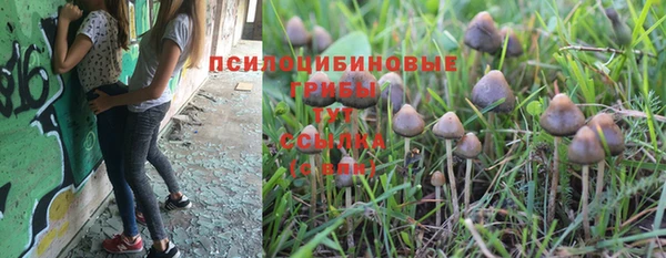 Альфа ПВП Новокубанск
