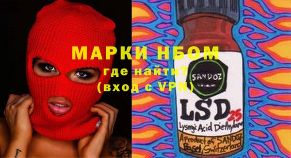 крисы Новозыбков