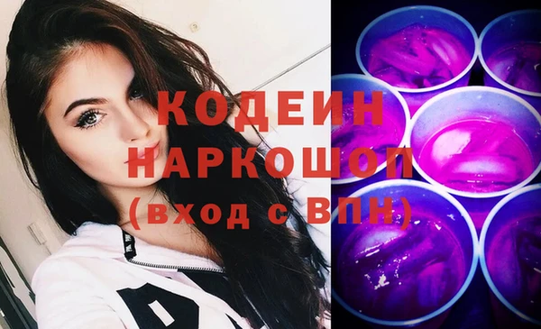 крисы Новозыбков