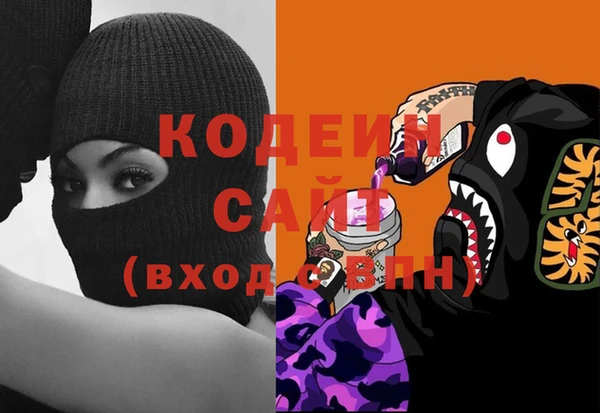 крисы Новозыбков